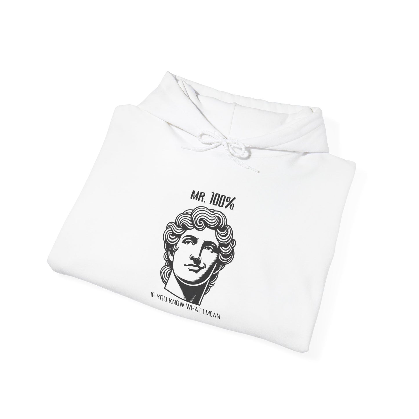 Mr 100 Hoodie