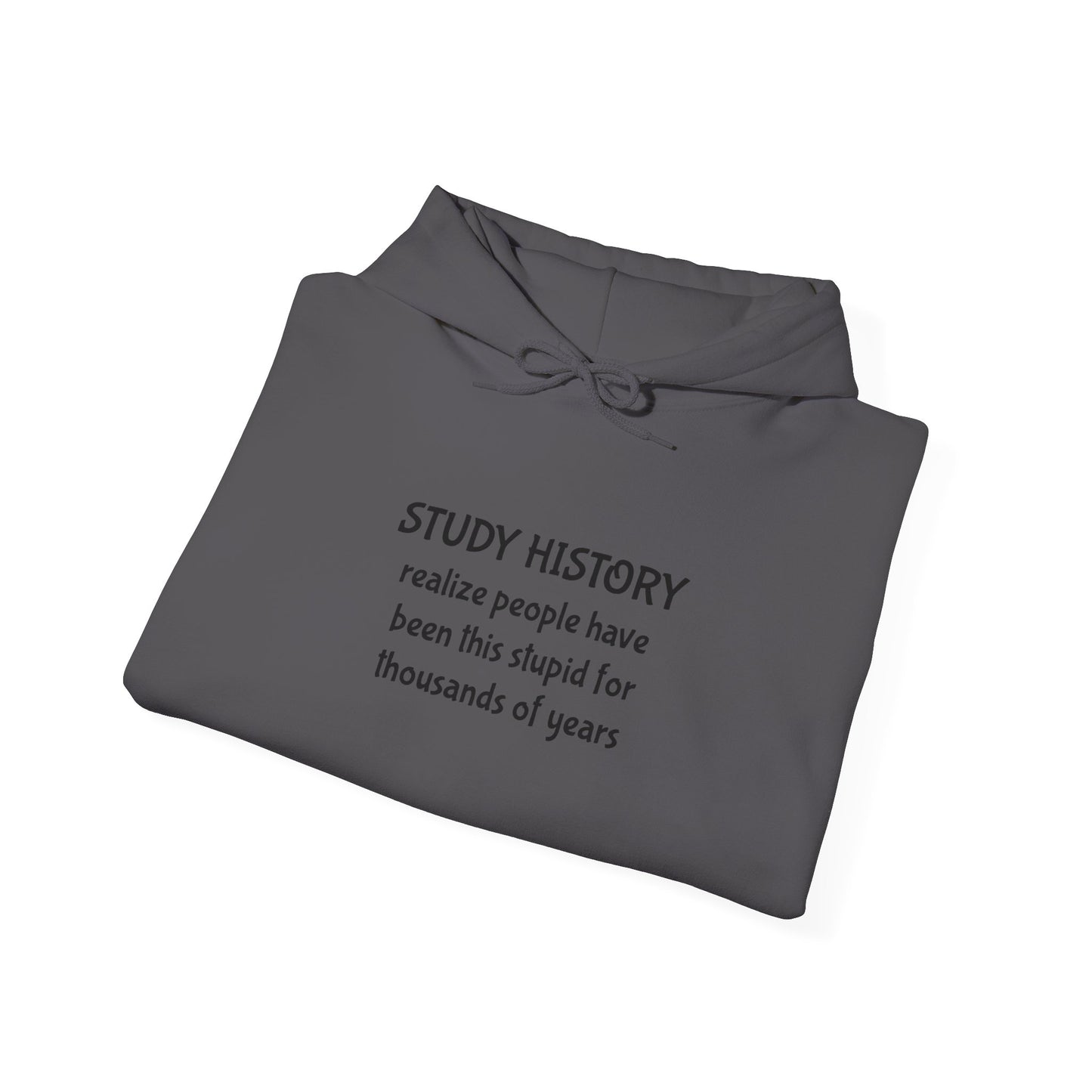 Study History Hoodie
