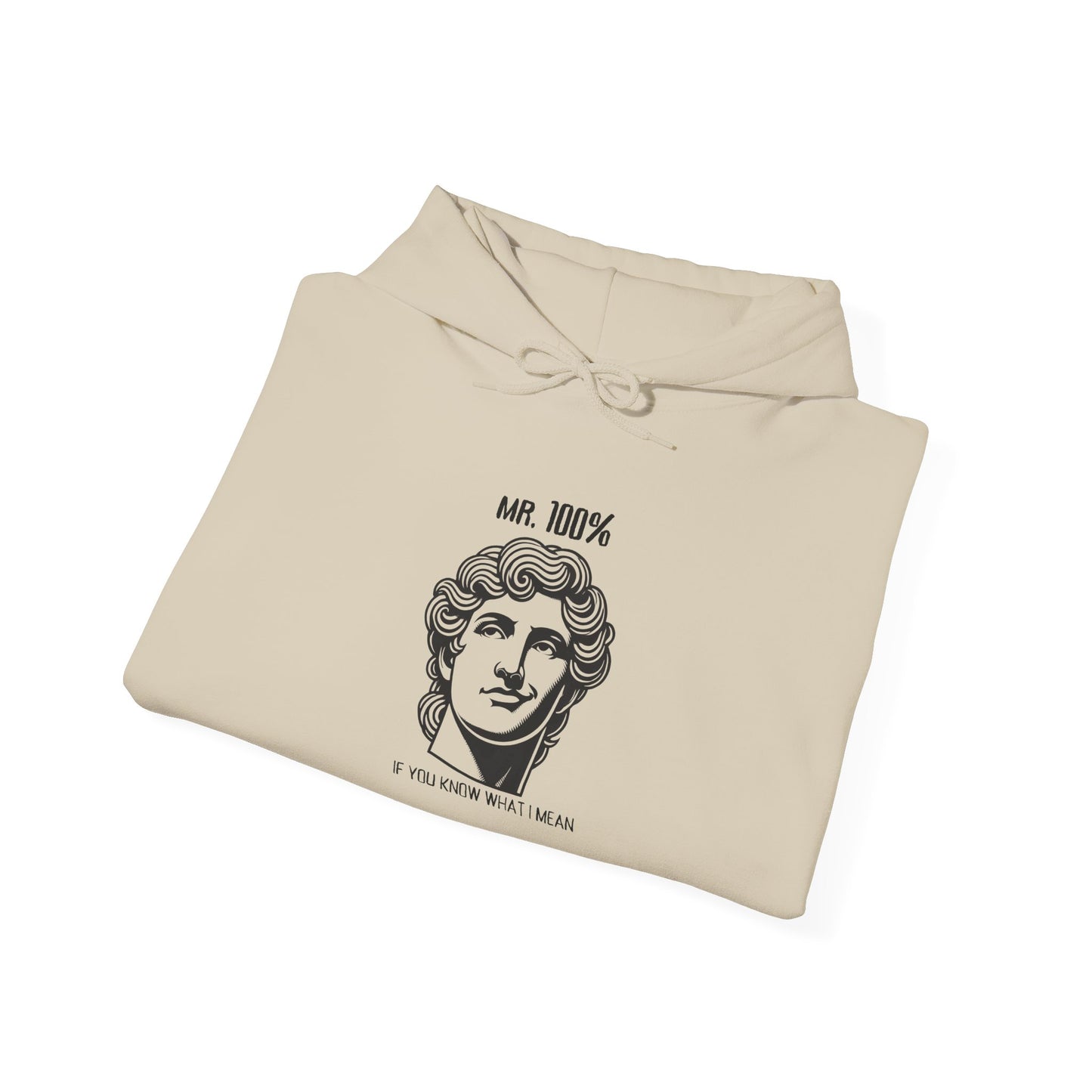 Mr 100 Hoodie