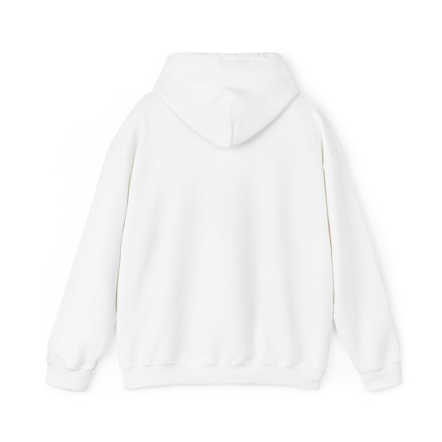 Study History Hoodie