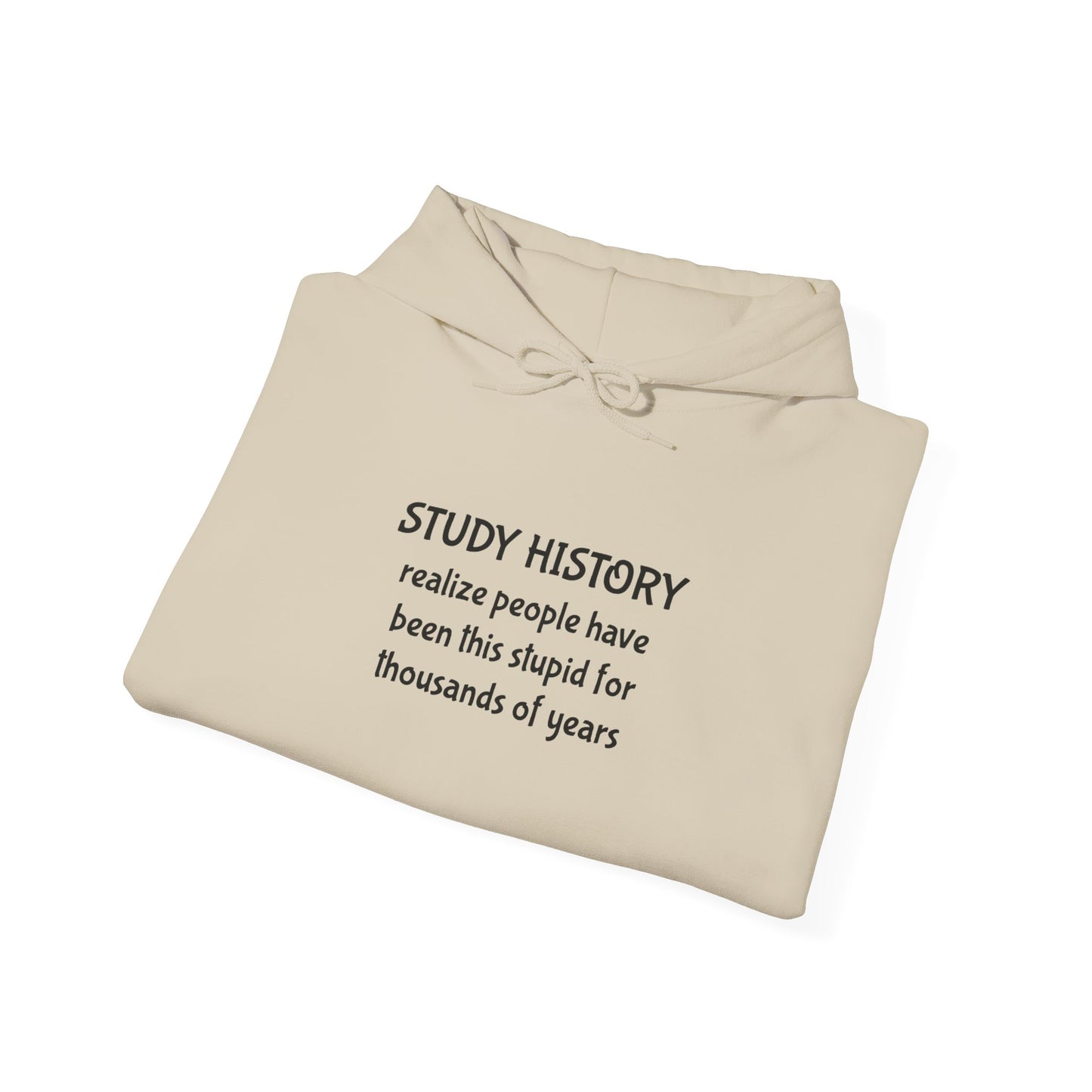 Study History Hoodie