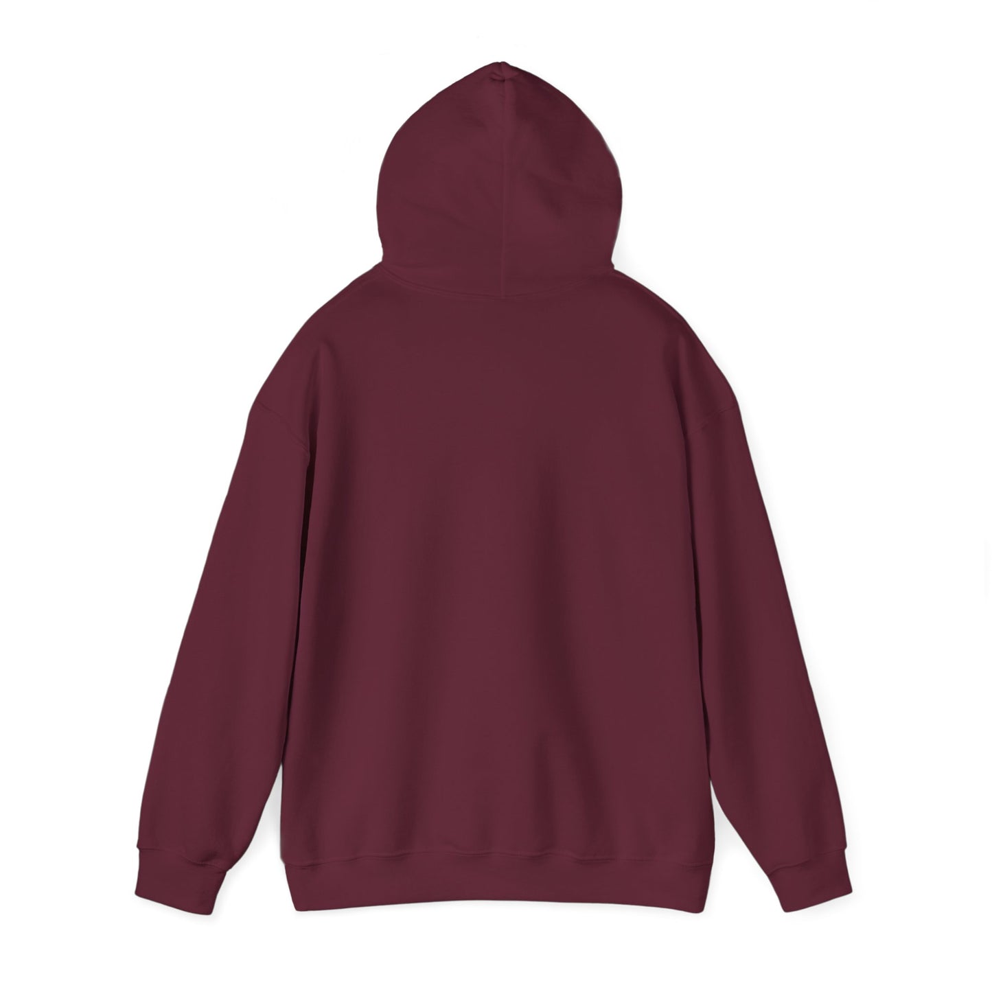 It's All In The Execution Hoodie