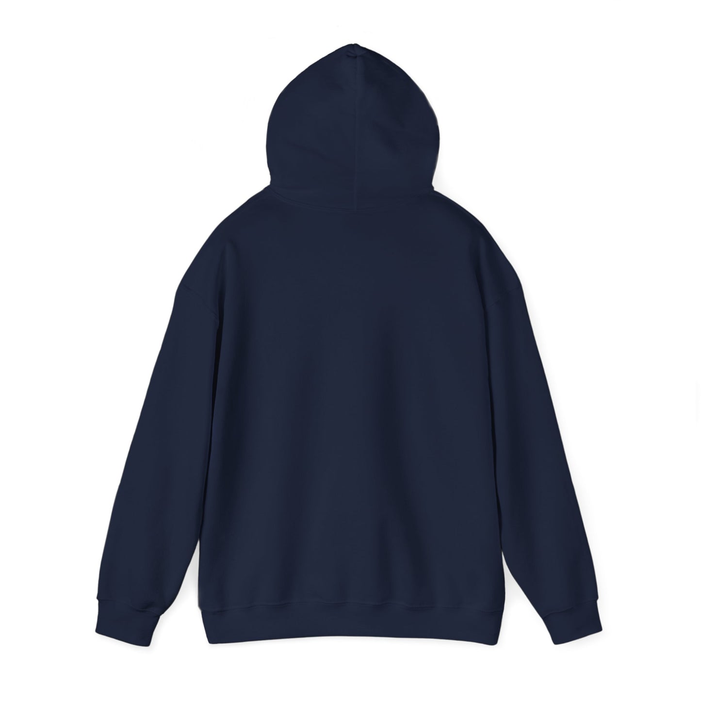 Study History Hoodie