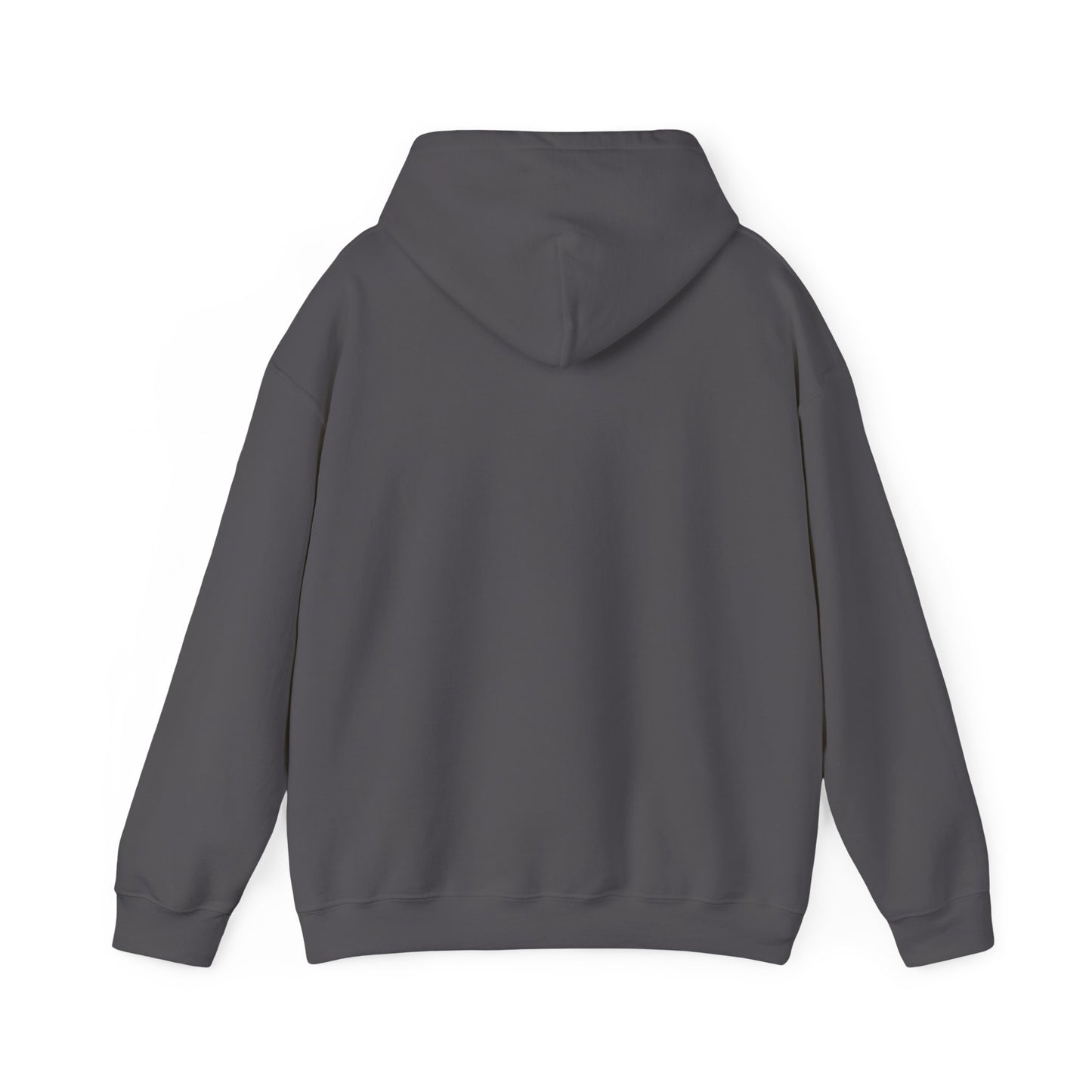 Study History Hoodie