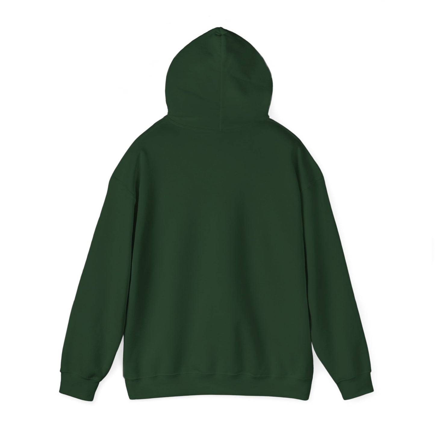 It's All In The Execution Hoodie