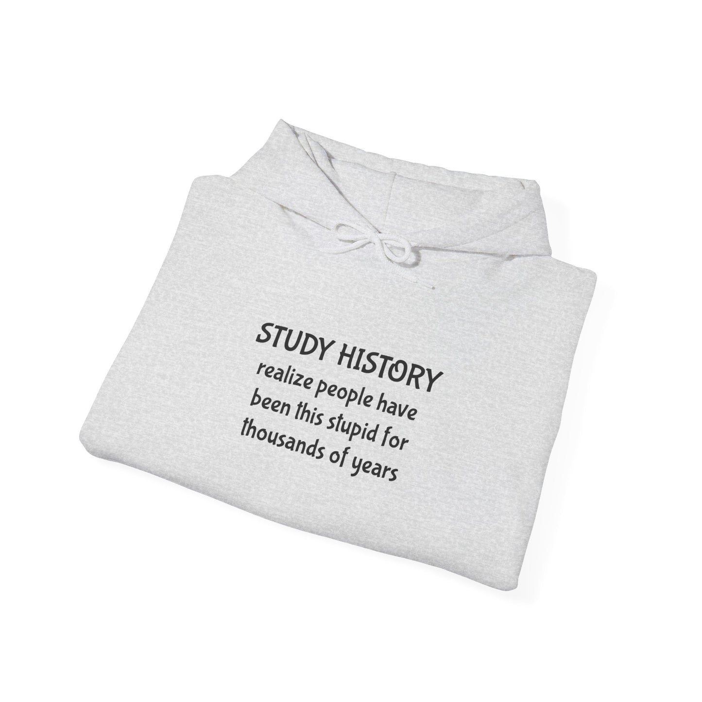 Study History Hoodie