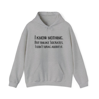 I Know Nothing Hoodie