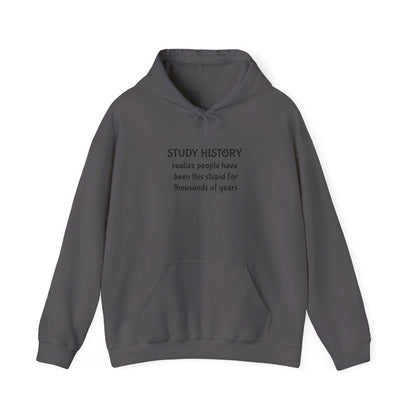 Study History Hoodie
