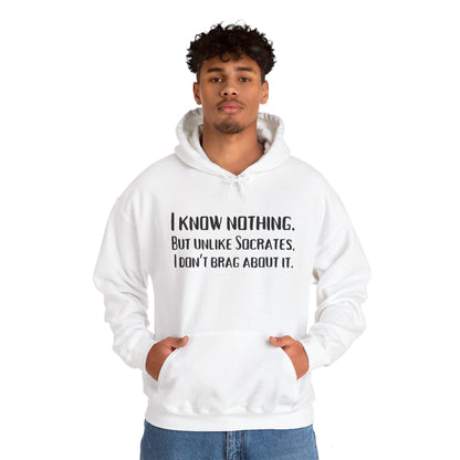 I Know Nothing Hoodie