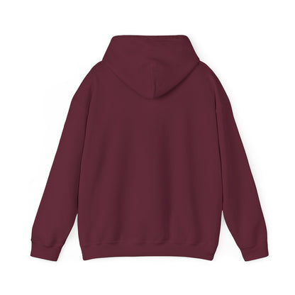 It's All In The Execution Hoodie