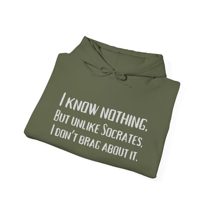 I Know Nothing Hoodie