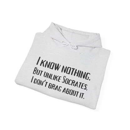 I Know Nothing Hoodie