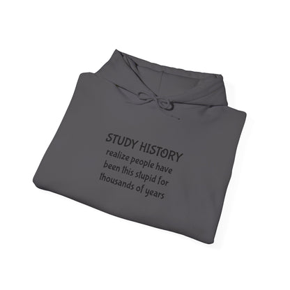 Study History Hoodie