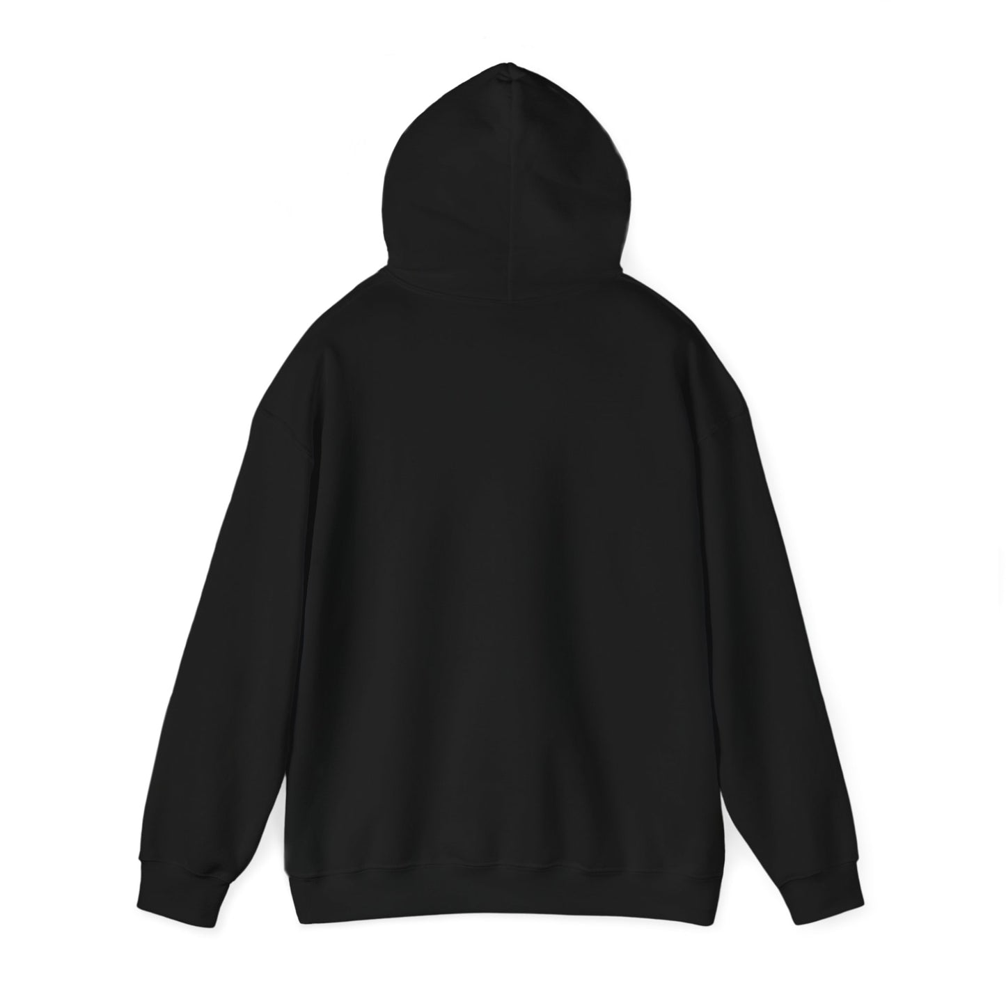 History Importanter Hoodie