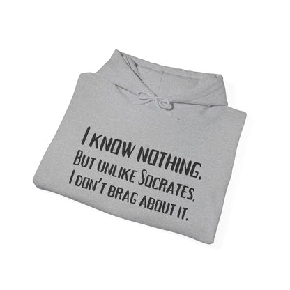 I Know Nothing Hoodie