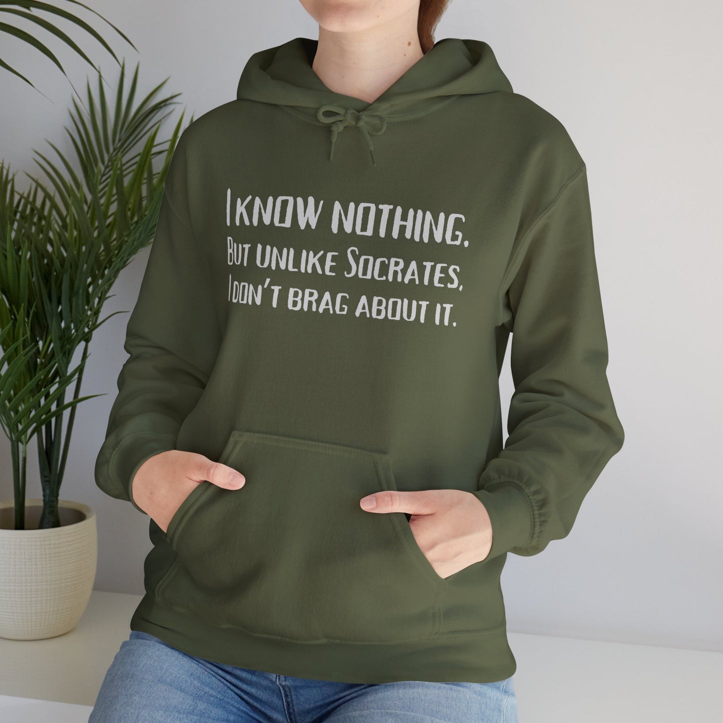 I Know Nothing Hoodie