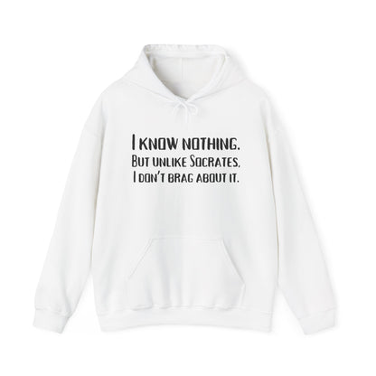 I Know Nothing Hoodie