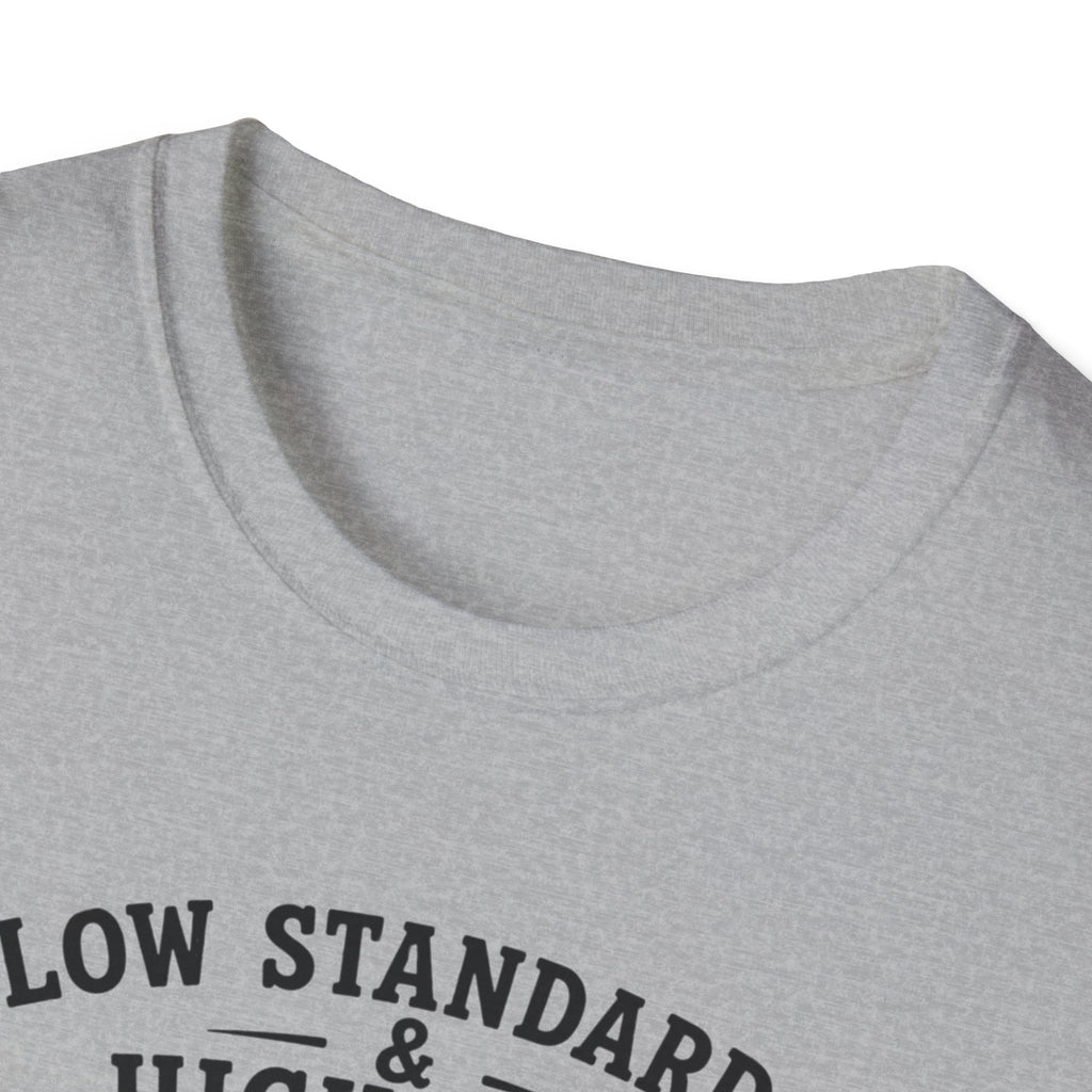 Viking Ship Tee — "Low Standards & High Seas" Graphic T-Shirt