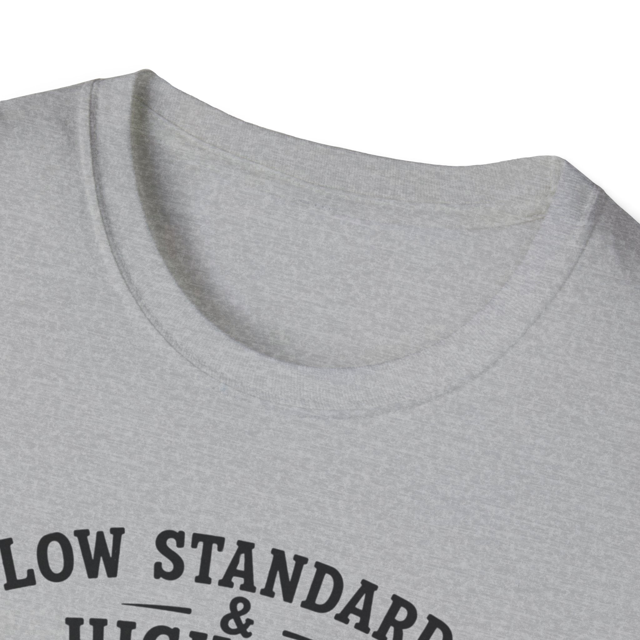 Viking Ship Tee — "Low Standards & High Seas" Graphic T-Shirt