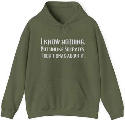 I Know Nothing Hoodie