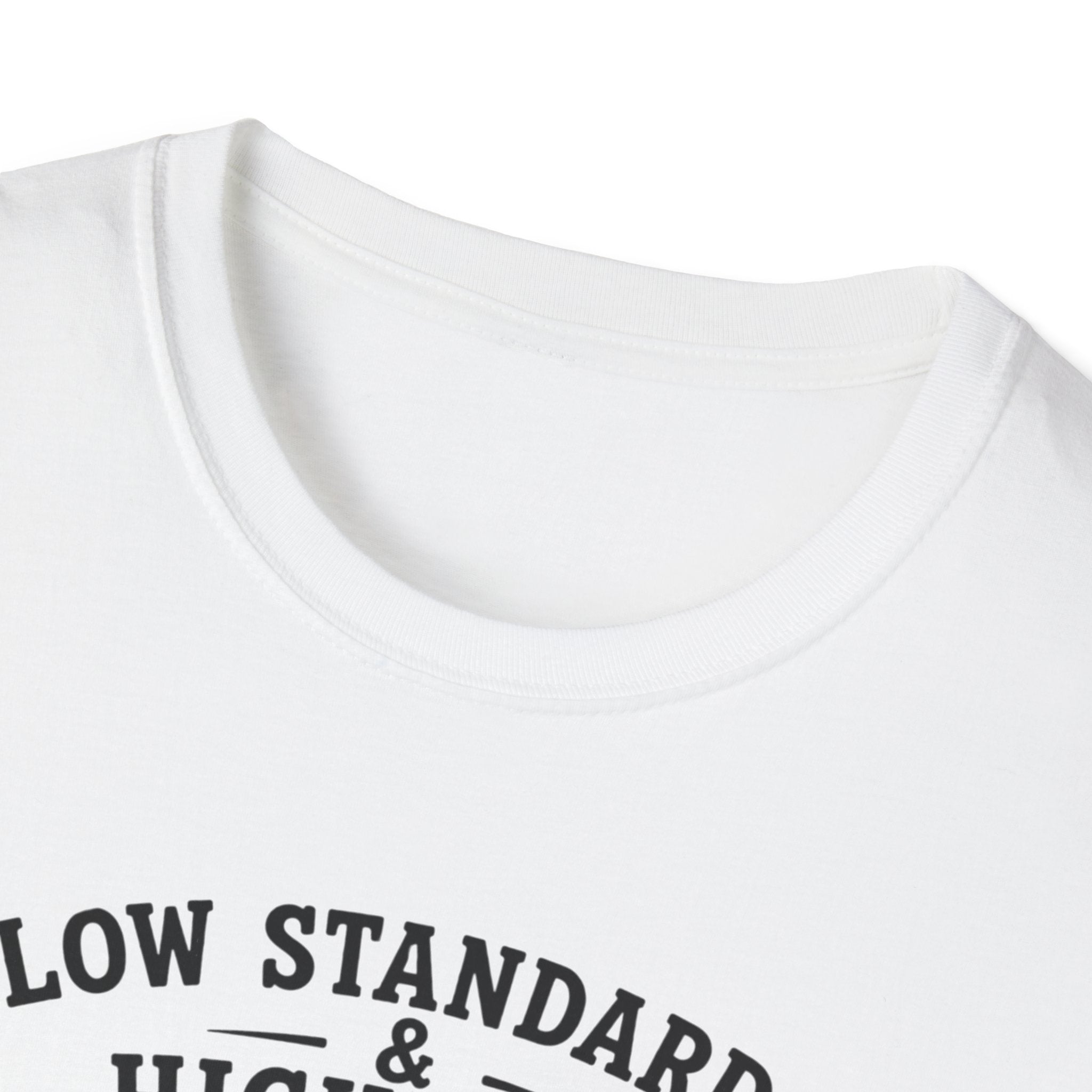 Viking Ship Tee — "Low Standards & High Seas" Graphic T-Shirt
