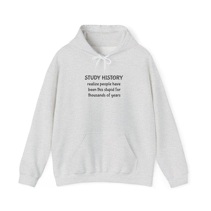 Study History Hoodie
