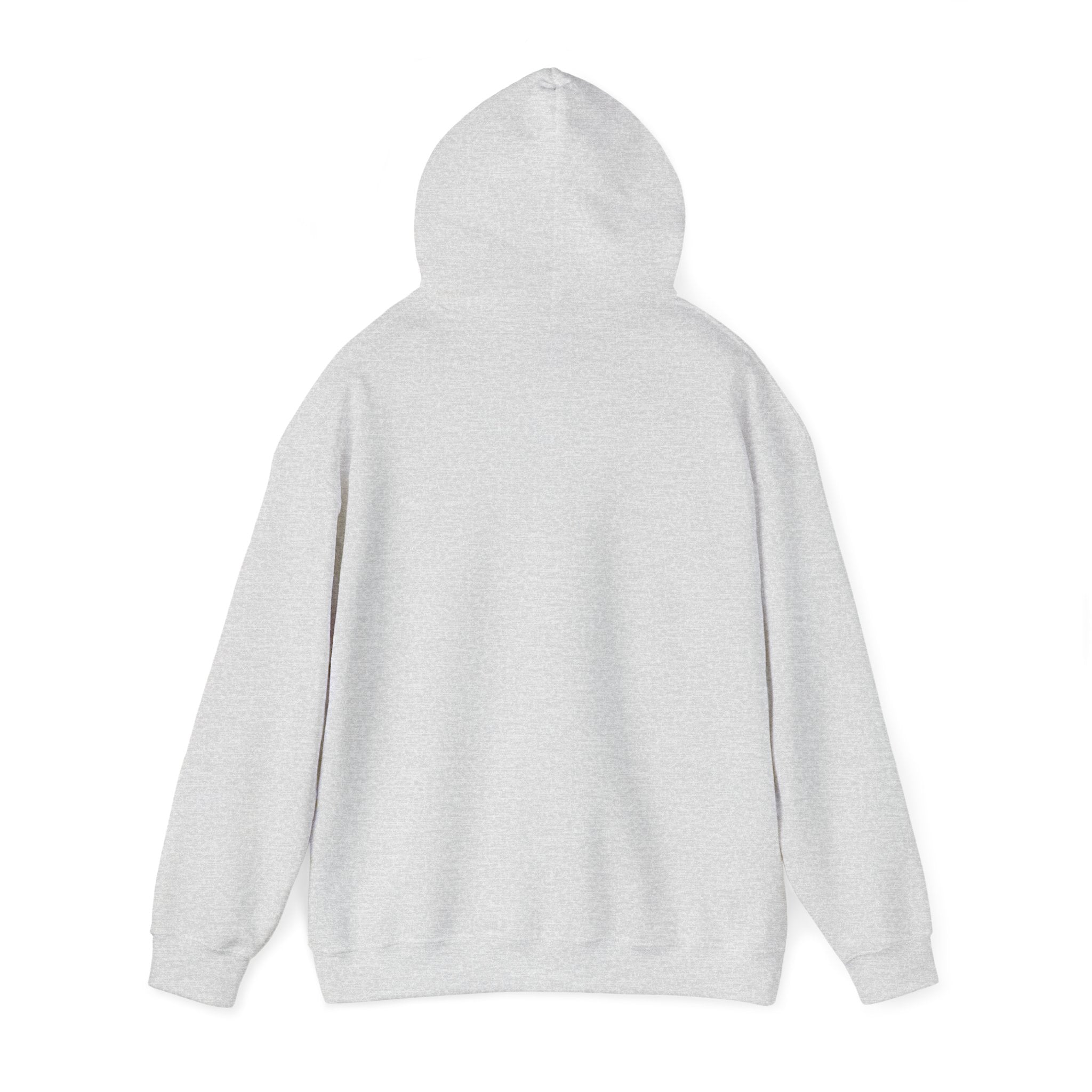 I told you so Hoodie