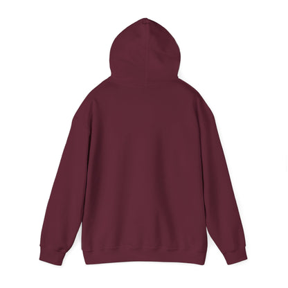 It's All In The Execution Hoodie