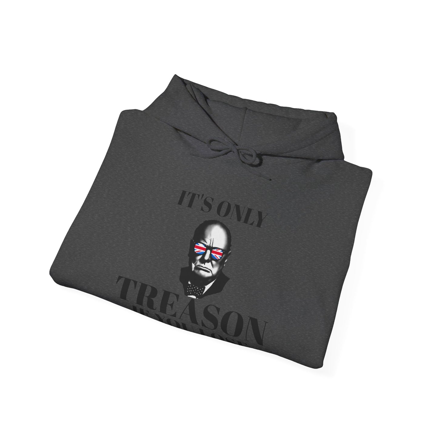 It's Only Treason If You Lose Hoodie