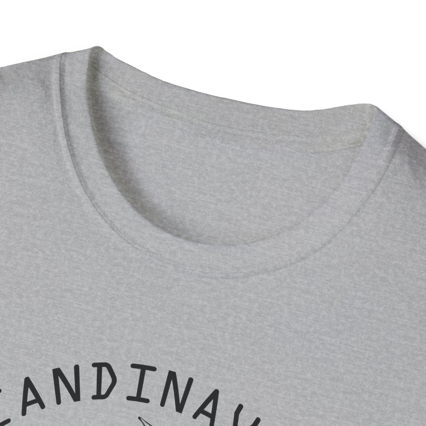 Viking Scandinavian Cruise Line T-Shirt