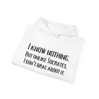 I Know Nothing Hoodie