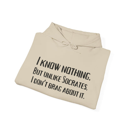 I Know Nothing Hoodie