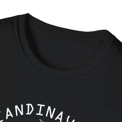 Viking Scandinavian Cruise Line T-Shirt