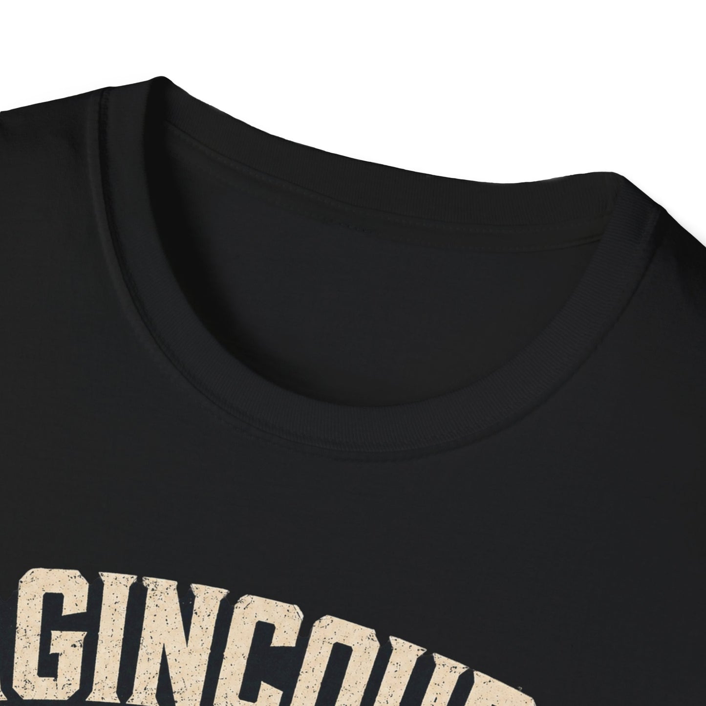 Agincourt 1415 T-Shirt — 'English Hearts, Long Bows, French Dreams' Historical Battle Tee