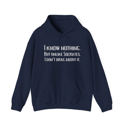 I Know Nothing Hoodie