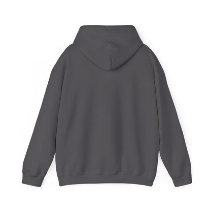 Study History Hoodie