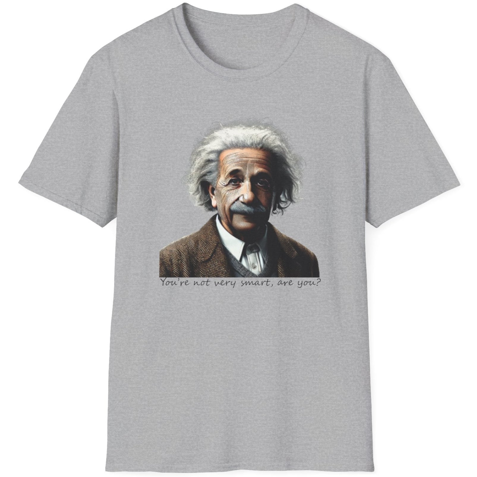 Grey T-Shirt with the face of Albert Einstein with the text "You're not very smart, are you?"