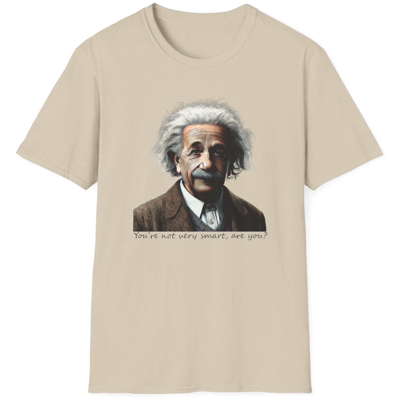 Sand T-Shirt with the face of Albert Einstein with the text "You're not very smart, are you?"