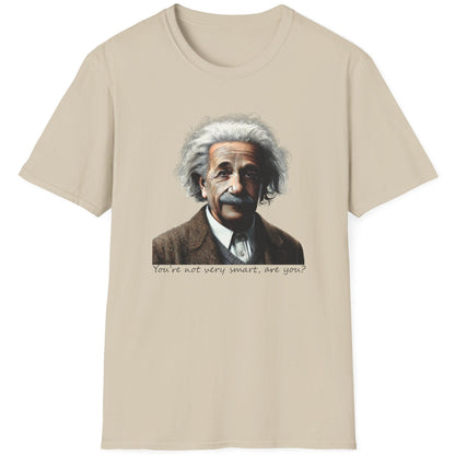 Sand T-Shirt with the face of Albert Einstein with the text "You're not very smart, are you?"