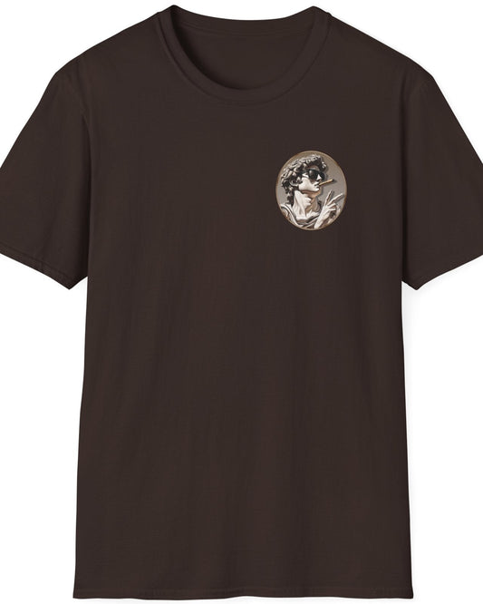 Brown T-Shirt with a pocket rpint of the david statue
