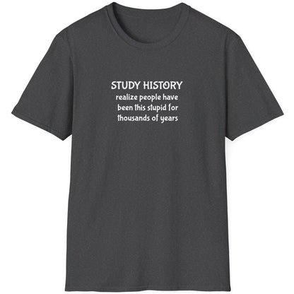 Heather Grey T-Shirt with the text "Study History, realize poeple have been this stupid for thusands of years"